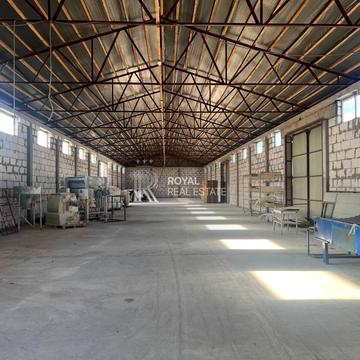 Лебедина, 31