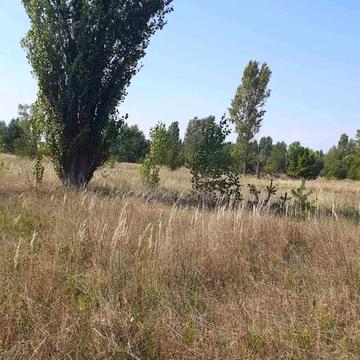 Хотянівка, Вишгородський, Київська область 12500.0 USD