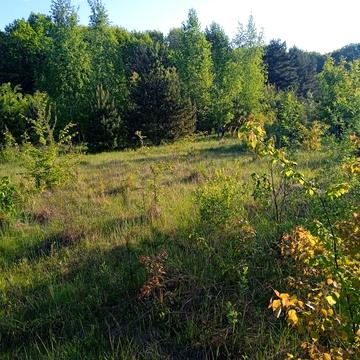 Солонське, Дрогобицький, Львівська область 5500.0 USD