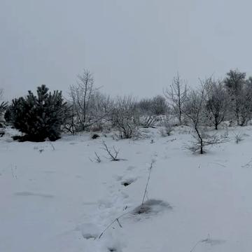 Ямельня, Яворівський, Львівська область 882000.0 USD