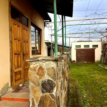 Доманинська