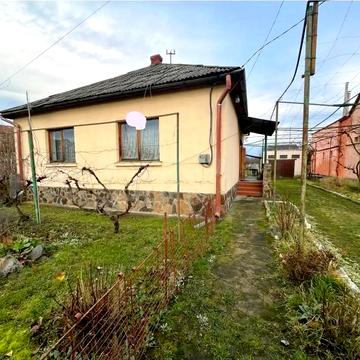 Доманинська