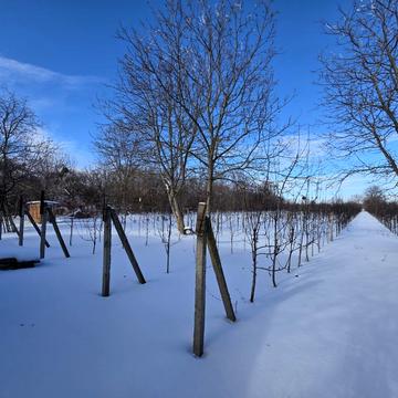 Шевченка вул. (Леніна), 28