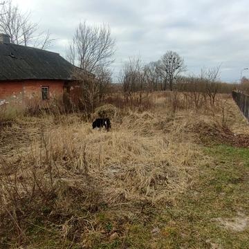 Вороців, Яворівський, Львівська область 18000.0 USD