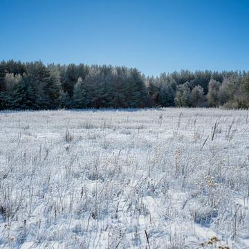 Дружня, Бучанський, Київська область 5000.0 USD