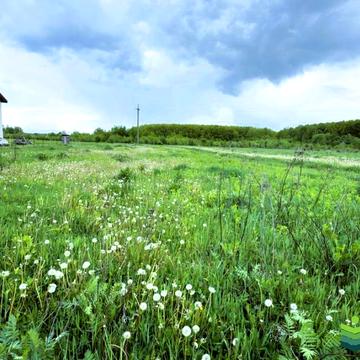 Березівка, Івано-Франківський, Івано-Франківська область 17500.0 USD