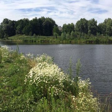 Крушинка, Фастівський, Київська область 175000.0 USD