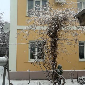 Сосюри вул., 41