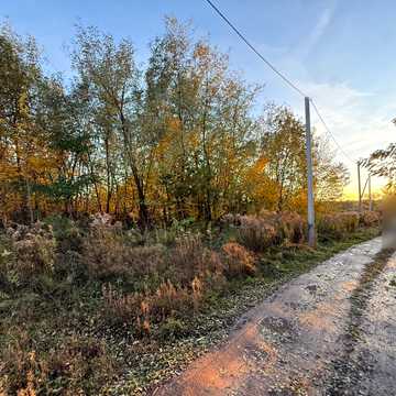 Горішній, Львівський, Львівська область 50250.0 USD