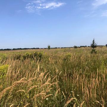 Церква св. Симеона Стовпника, Петропавлівська Борщагівка, Бучанський, Київська область 45000.0 USD