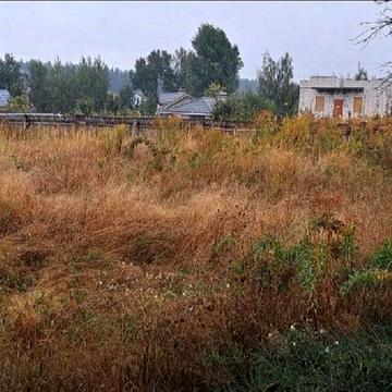 Березівка, Бучанський, Київська область 50000.0 USD