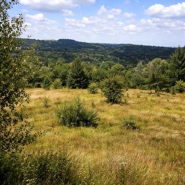 Межигірська вул.