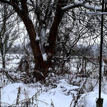 Старосільська, 35