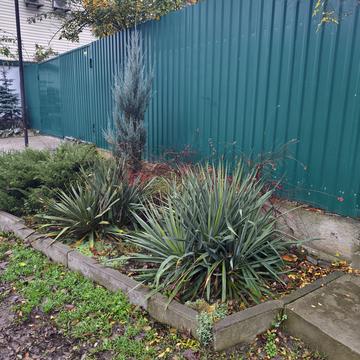 Михайла Грушевського вул. (Карла Лібкнехта), 26