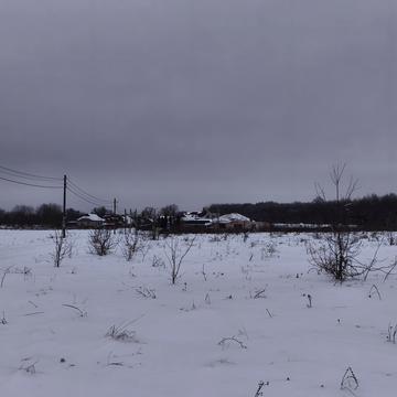 Лесі Українки, 1