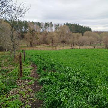 Котляревського