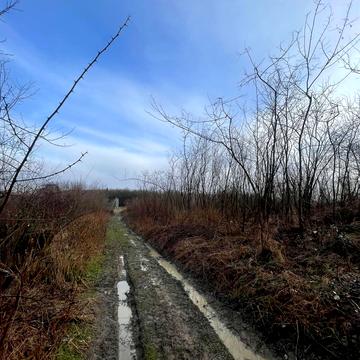 Ужгород, Закарпатська область 22000.0 USD