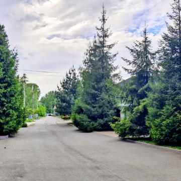 Прибережна