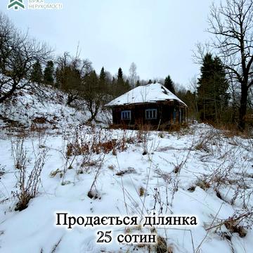 Пилипець, Хустський, Закарпатська область 50000.0 USD