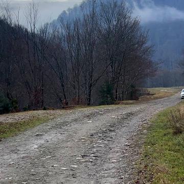 Вучкове, Хустський, Закарпатська область 120000.0 USD