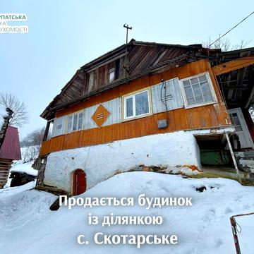 центральна