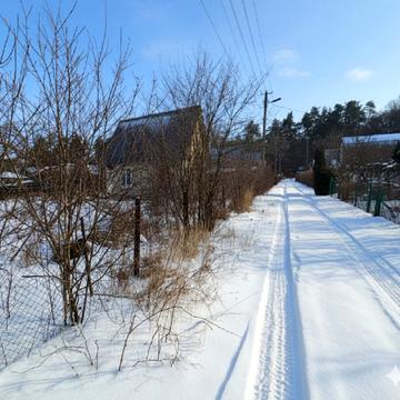 Виноградна