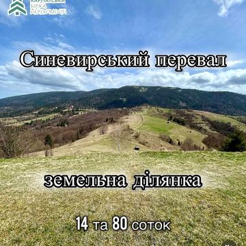 Синевир, Хустський, Закарпатська область 14000.0 USD