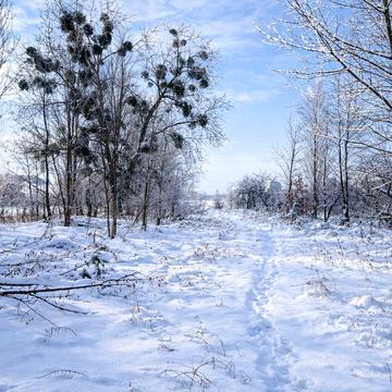 Богатирська вул.
