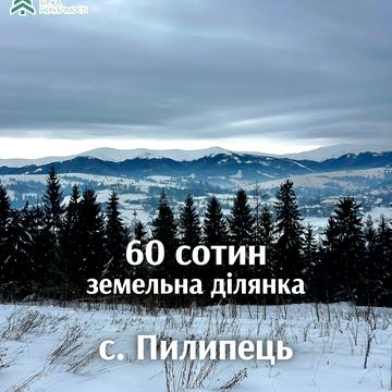 Пилипець, Хустський, Закарпатська область 60000.0 USD