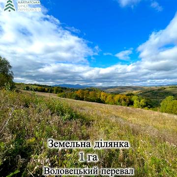 Воловець, Мукачівський, Закарпатська область 8000.0 USD