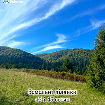 Річка, Хустський, Закарпатська область 45000.0 USD