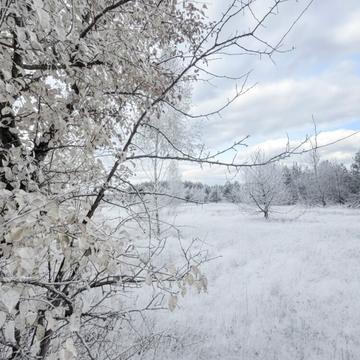 Козинці, Бучанський, Київська область 4500.0 USD
