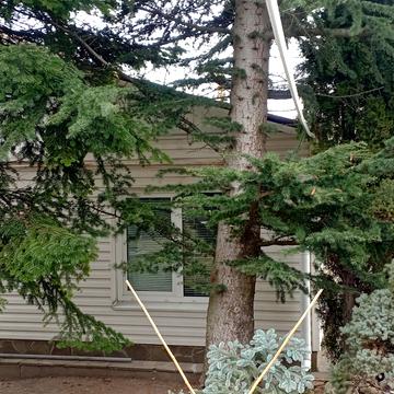 Надії Алексєєнко вул. (Чичеріна), 111