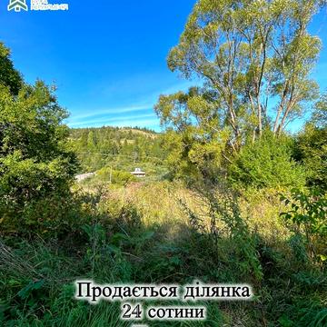 Пилипець, Хустський, Закарпатська область 24000.0 USD