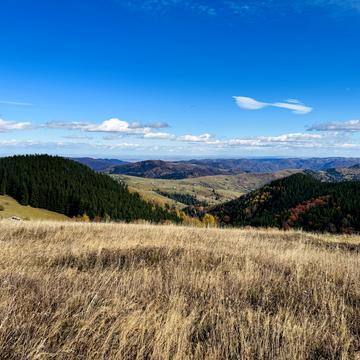 Верхній Ясенів, Верховинський, Івано-Франківська область 35400.0 USD