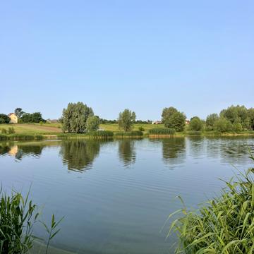 Колонщина, Бучанський, Київська область 13000.0 USD