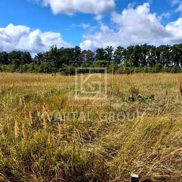 Немішаєвська