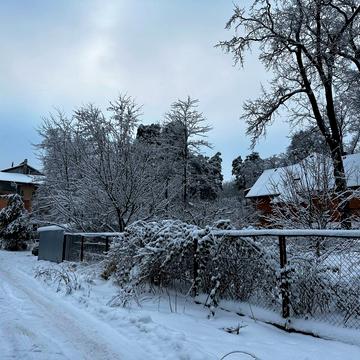 Тюльпанова вул. (Червоноармійська)
