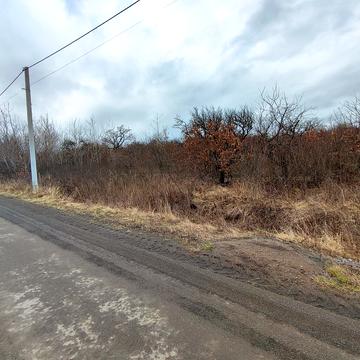 Гута, Ужгородський, Закарпатська область 9000.0 USD