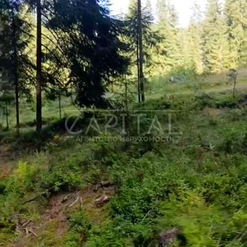 Яблуниця, Надвірнянський, Івано-Франківська область 375000.0 USD