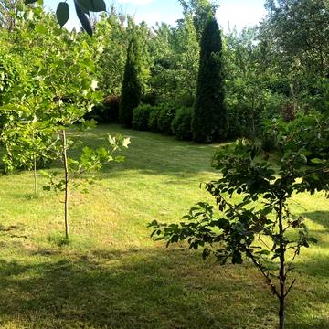 Старосільська вул.