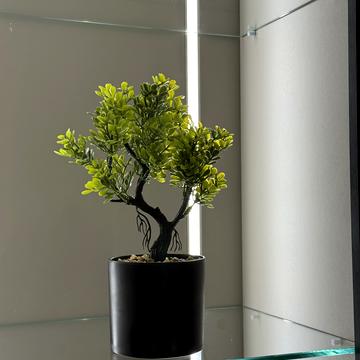 Бельведерська вул., 32-Б