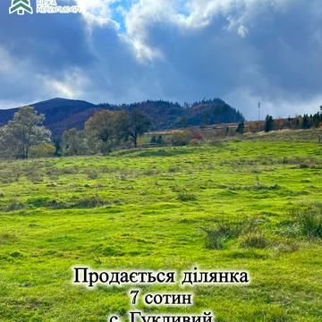 Гукливий, Мукачівський, Закарпатська область 12000.0 USD