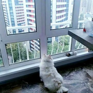 Патріарха Мстислава Скрипника вул., 13