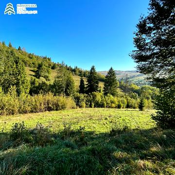 Нижній Студений, Хустський, Закарпатська область 37500.0 USD