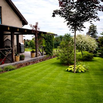 Медова, 28