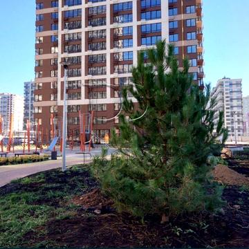 Родини Крістерів вул., 16