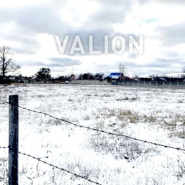 Ярослава Мудрого, 50