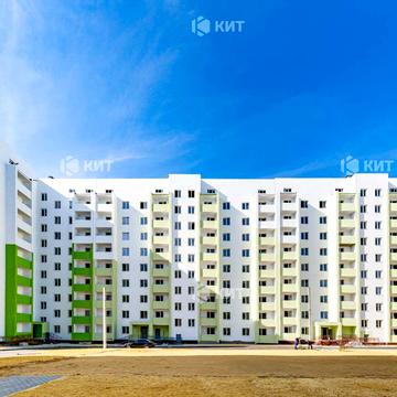 Миру вул., 43