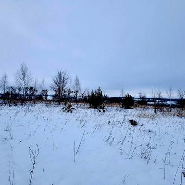 Центральна вул.